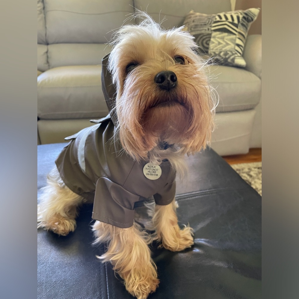 LIKE NEW DOGGY RAIN COAT